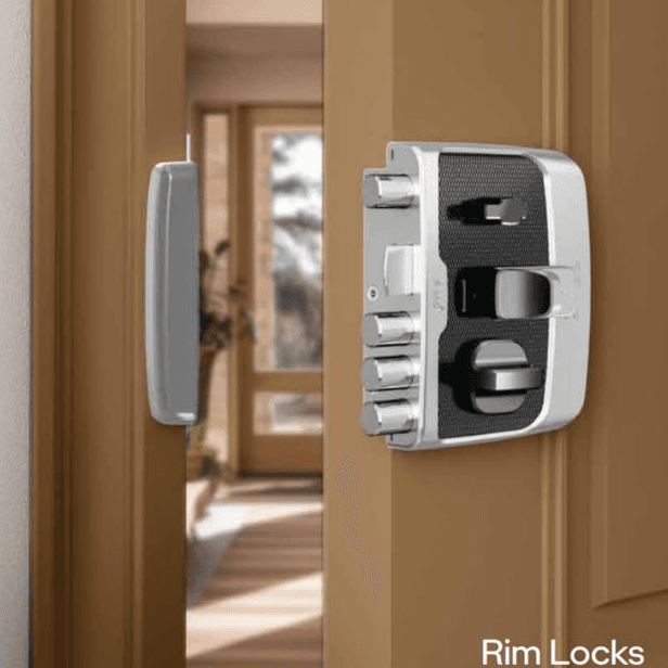 Advanced Rim Locks